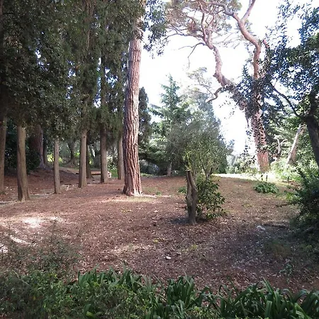 La Vista Del Mare